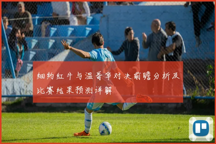 细约红牛与温哥华对决前瞻分析及比赛结果预测详解